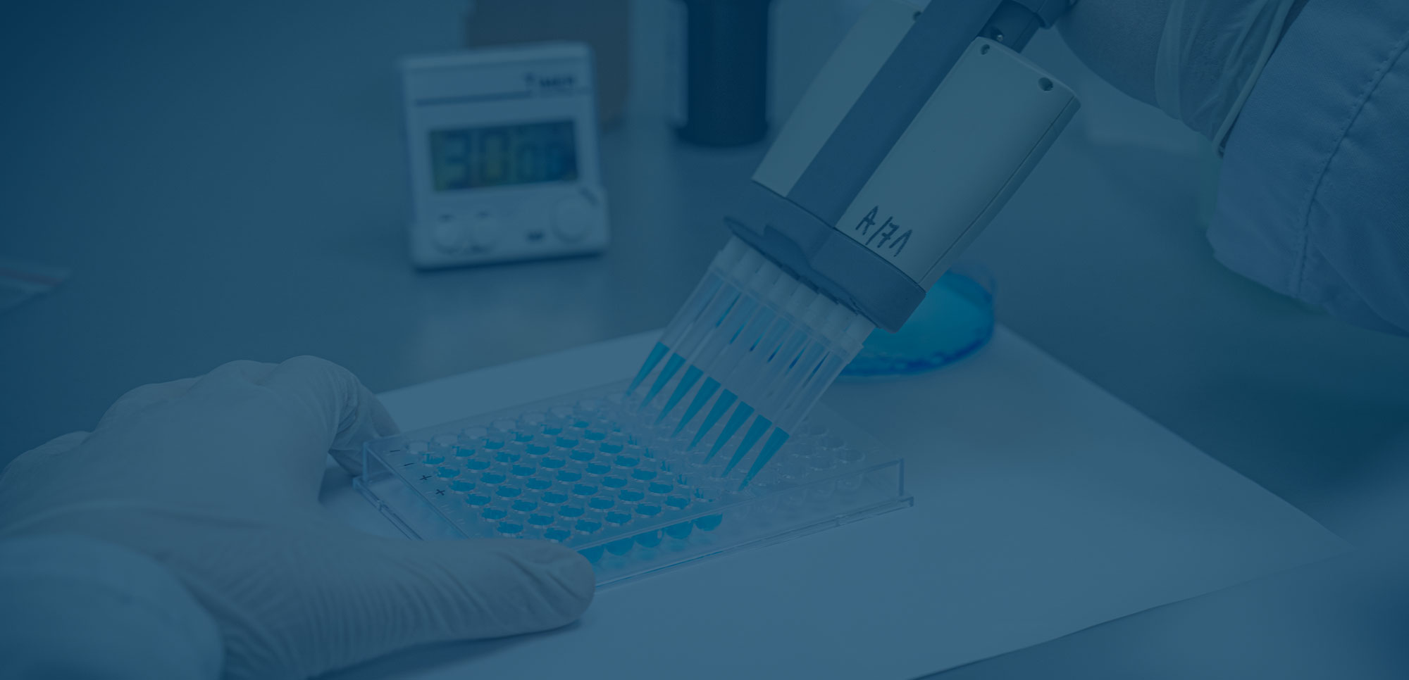 Akredytowane Badania Laboratoryjne Kujawsko-Pomorskie